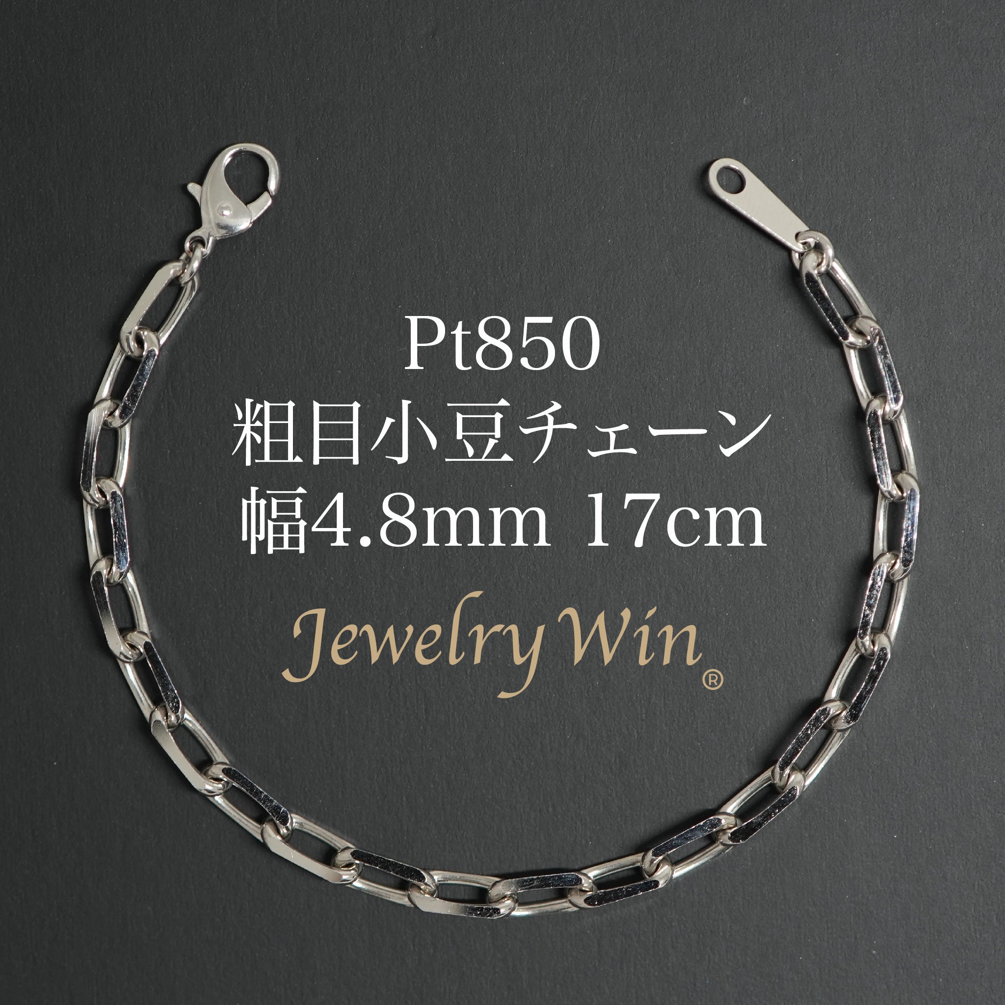 Pt850_4_8mm1_5_17cm_67f688e4-