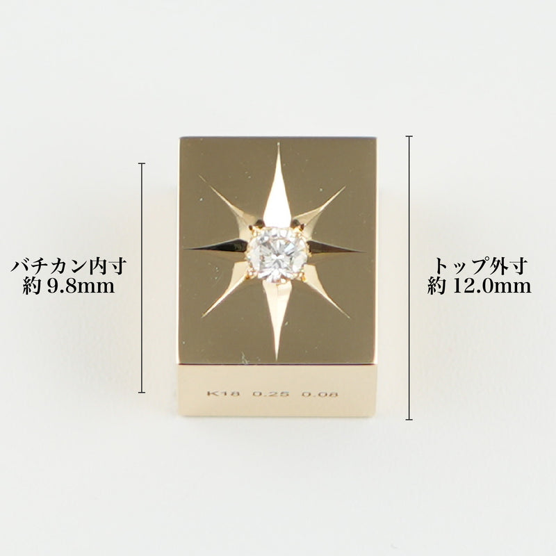 ペンダントトップ K18 ダイヤ付 (Type-CO-OF リバーシブル) 中