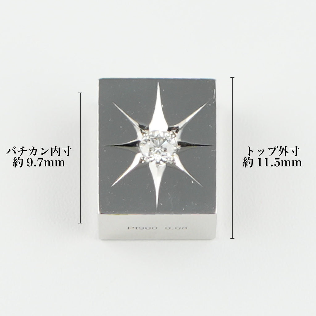 pt バック型ペンダントトップ ペンダントトップ Pt900 ダイヤ付 (Type-CO-O) 中