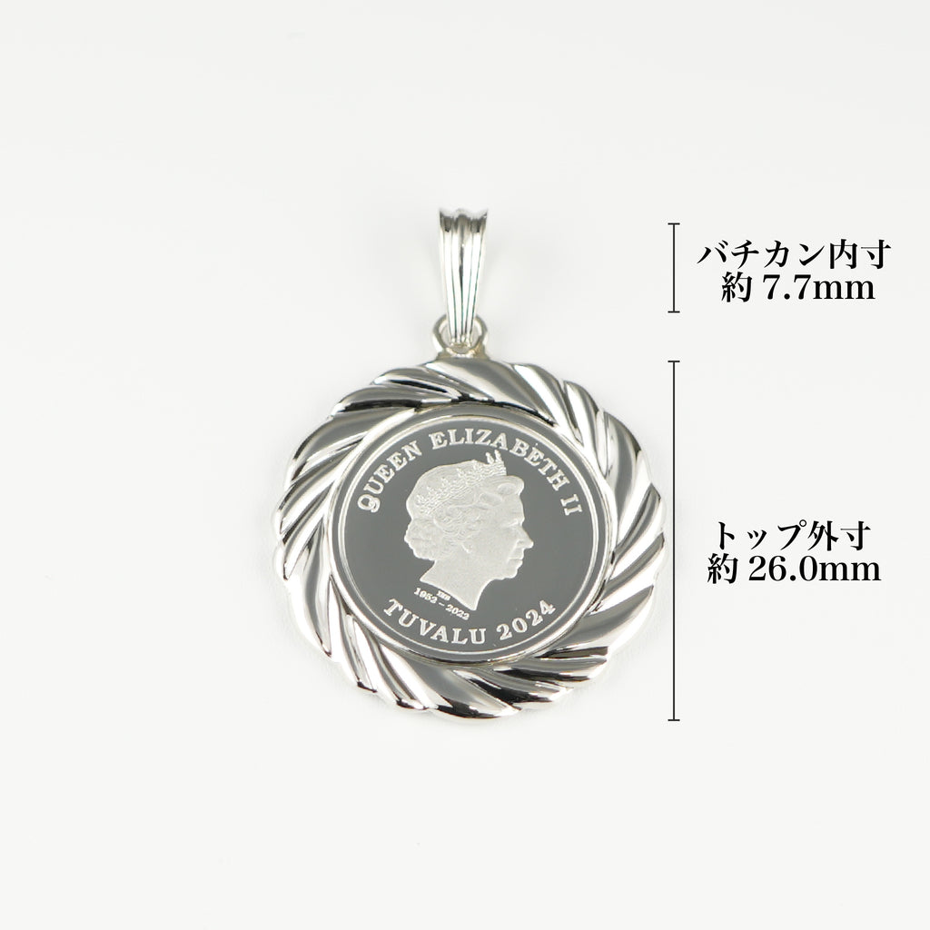 Pt999.5_1_10ozPt900_Type-