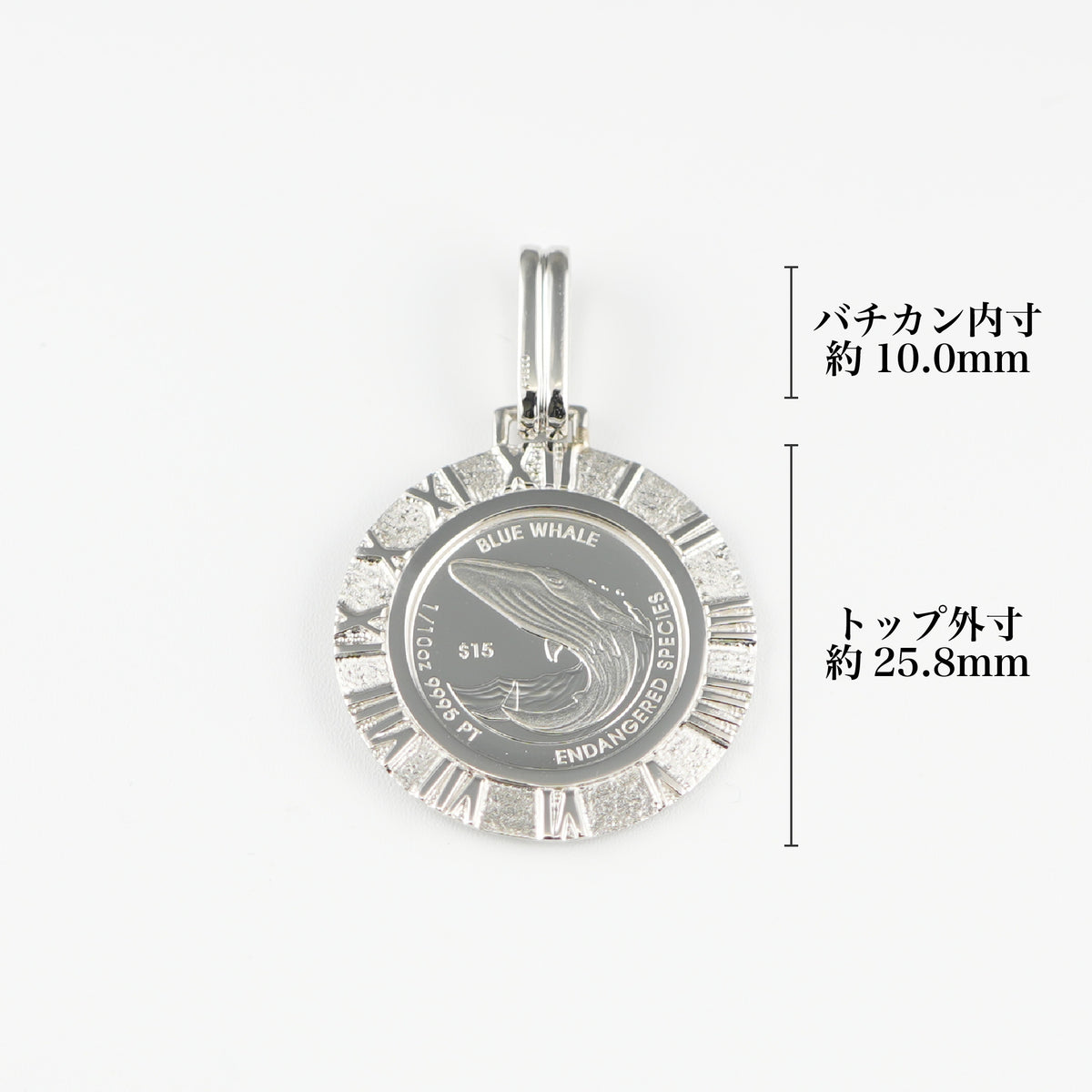 Pt999.5_1_10ozPt900_Type-