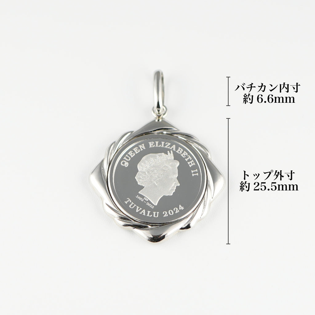ペンダントトップ Pt999.5 ツバルホース コイン 1/10oz Pt850 枠付