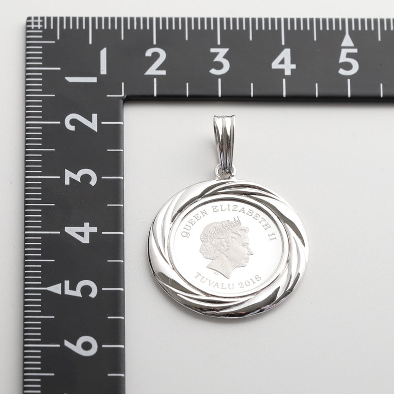 ペンダントトップ ツバルホース コイン Pt999.5 1/10oz Pt900 枠付 (Type-GR)
