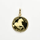 ペンダントトップ K24 ツバルホース コイン 1/5oz K18 枠付 (Type-SP)