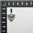 ペンダントトップ Pt900 ダイヤ付 (Type-TR)