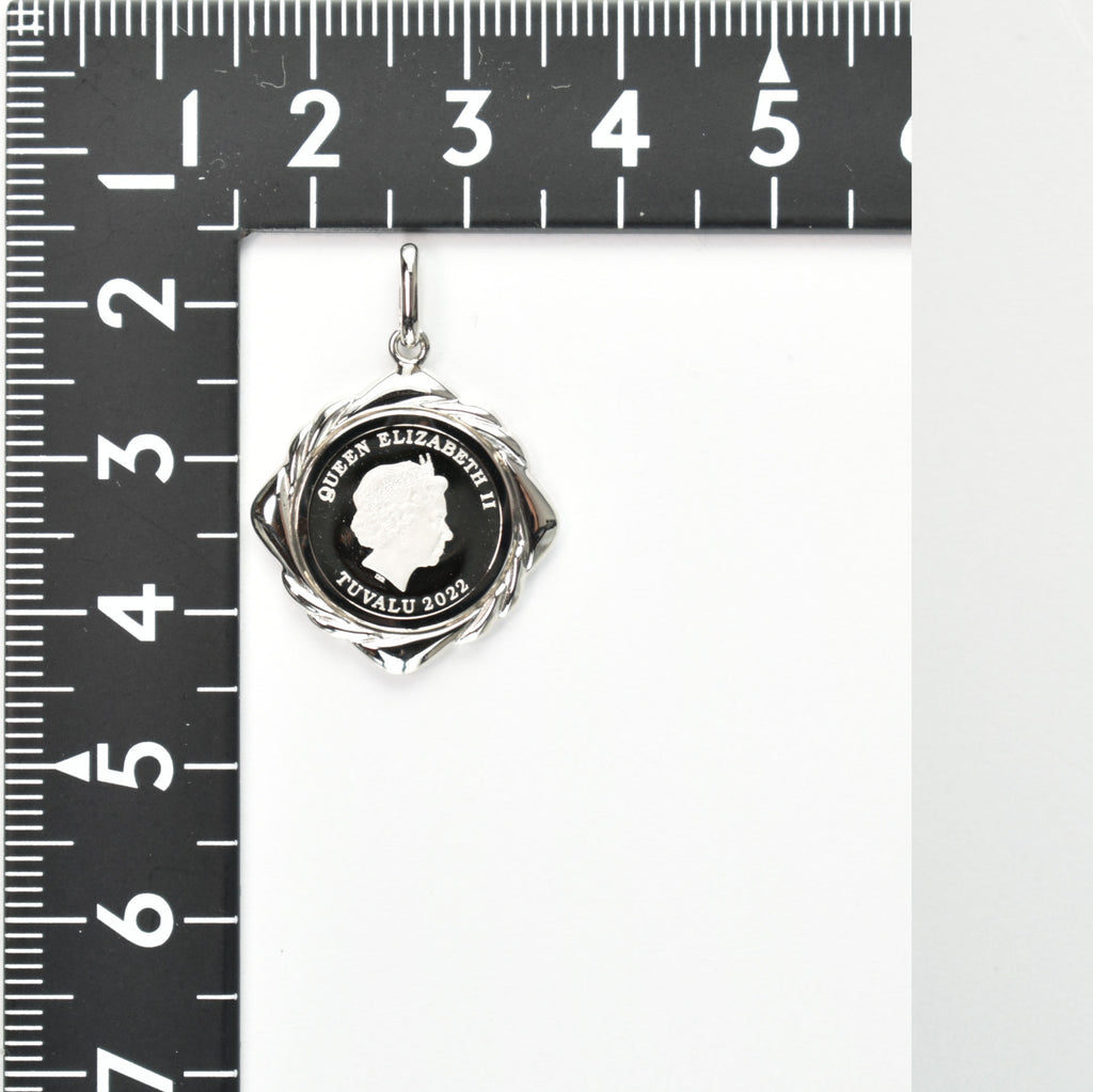 Pt999.51_25ozPt850_Type-
